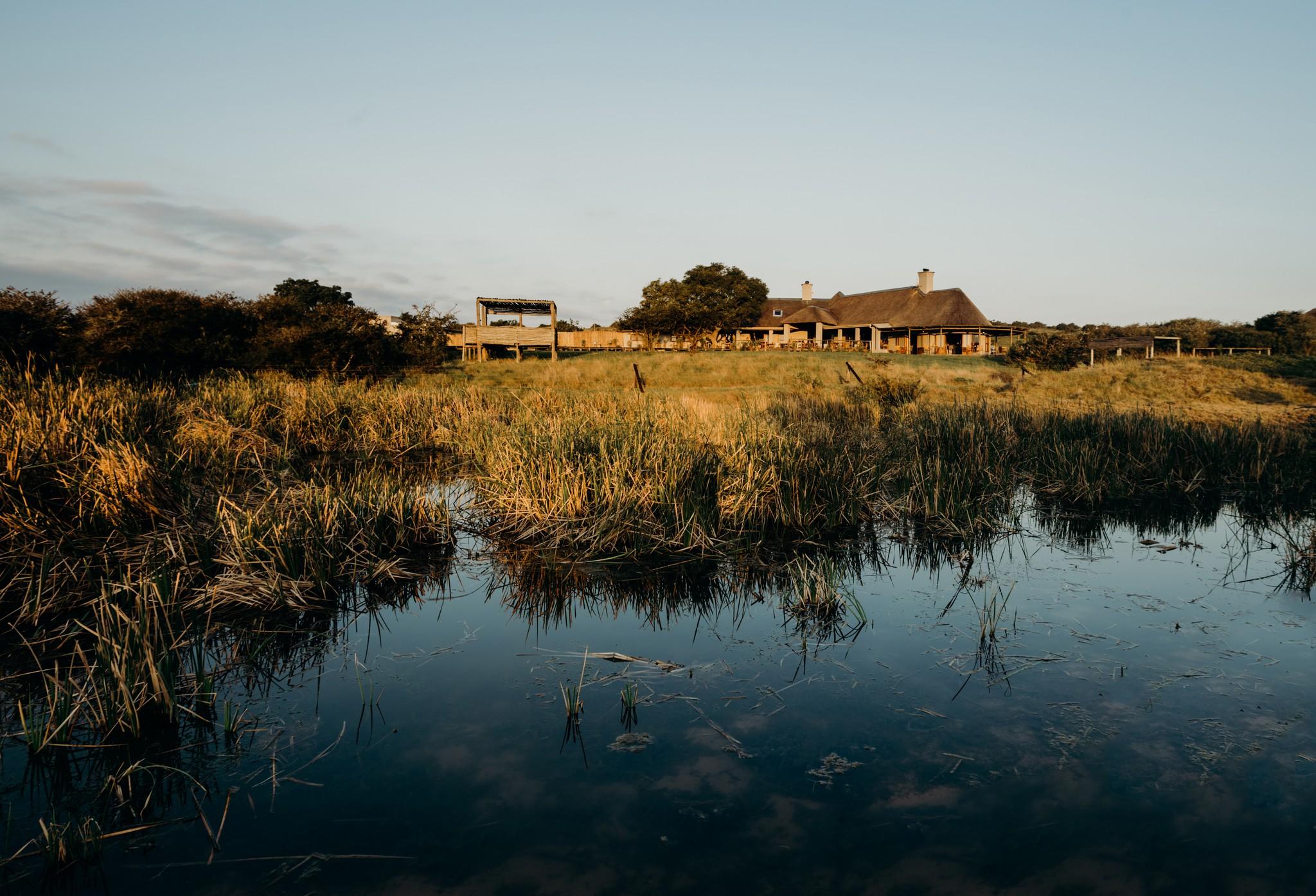 Hlosi Game Lodge - Amakhala Game Reserve Buyskloof Exterior foto