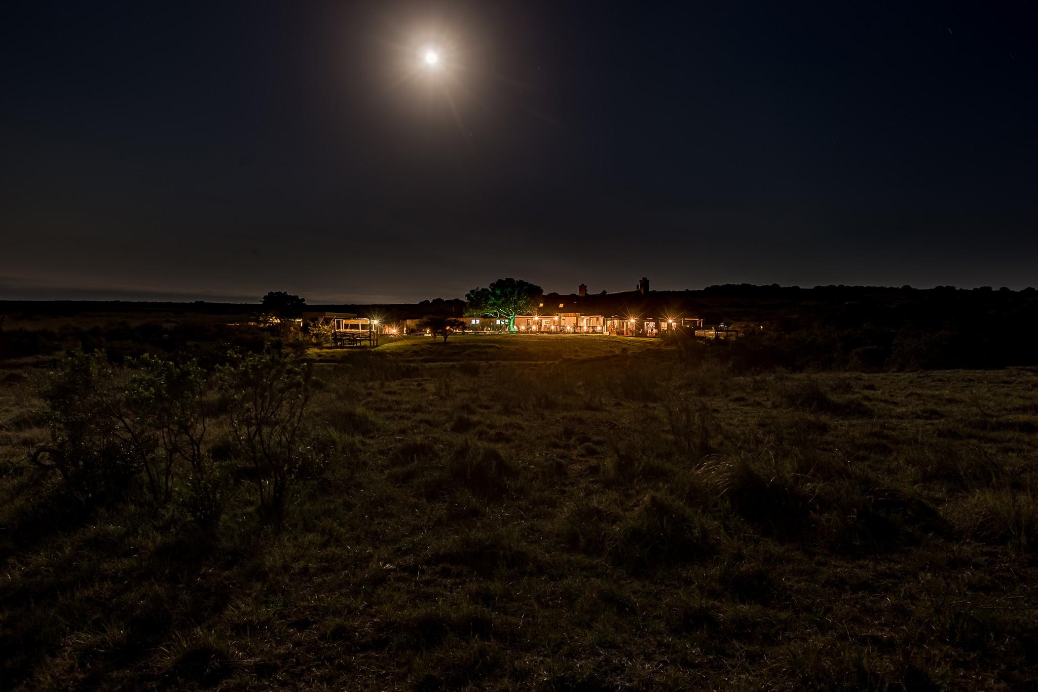 Hlosi Game Lodge - Amakhala Game Reserve Buyskloof Exterior foto