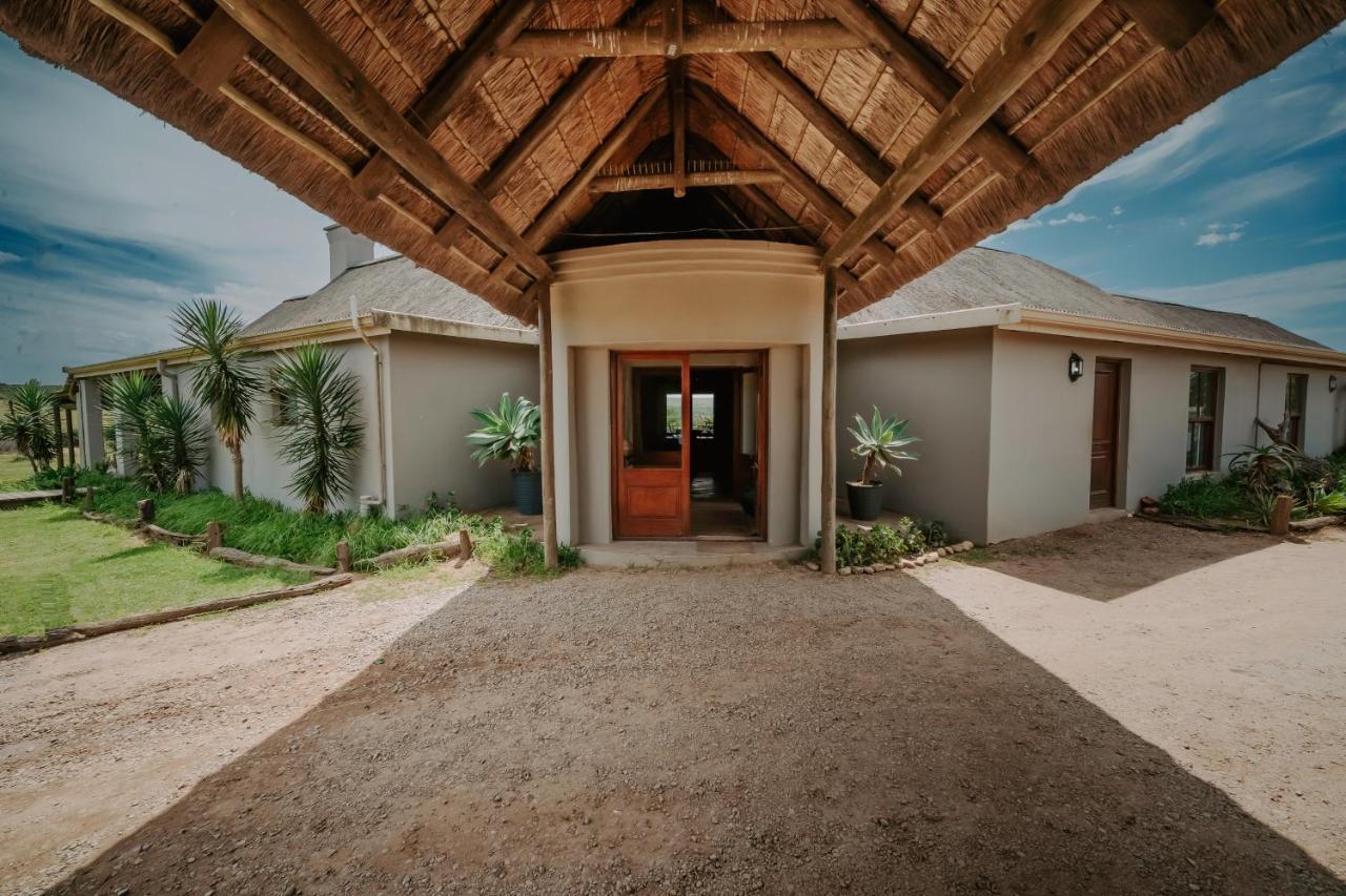 Hlosi Game Lodge - Amakhala Game Reserve Buyskloof Exterior foto