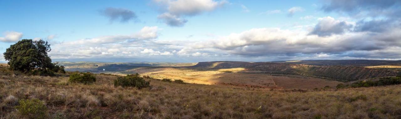 Hlosi Game Lodge - Amakhala Game Reserve Buyskloof Exterior foto